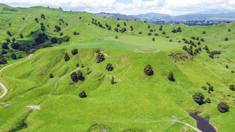 331 Burnand Road Manunui_19