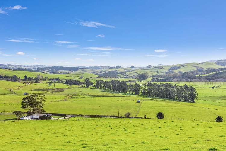 20 Salvation Road Totara North_9