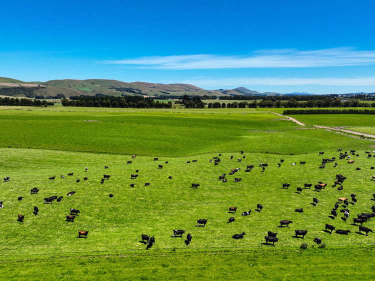 10 Roy Road Clutha_14