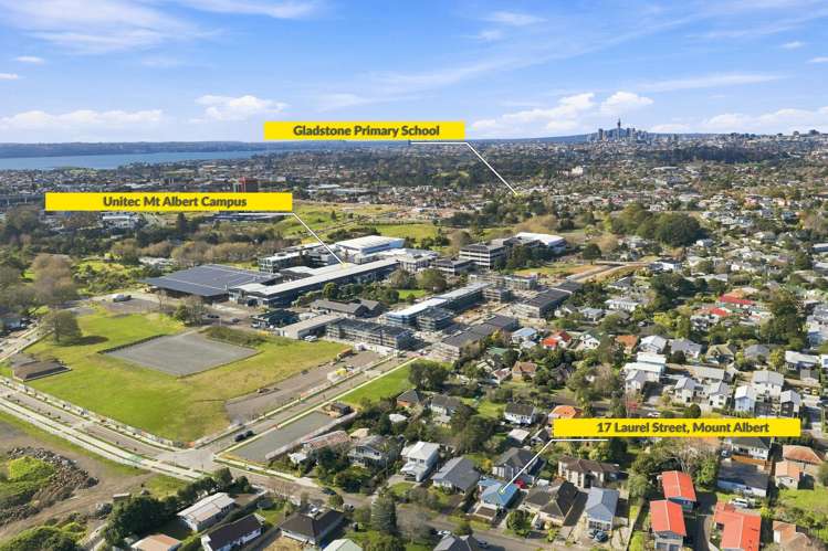 17 Laurel Street Mount Albert_22