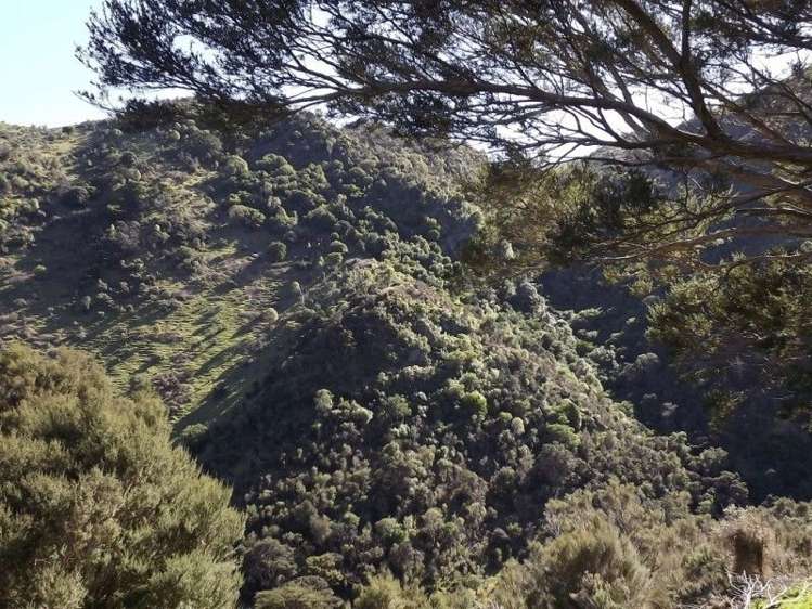 704 Mangatarere Valley Road Carterton_7