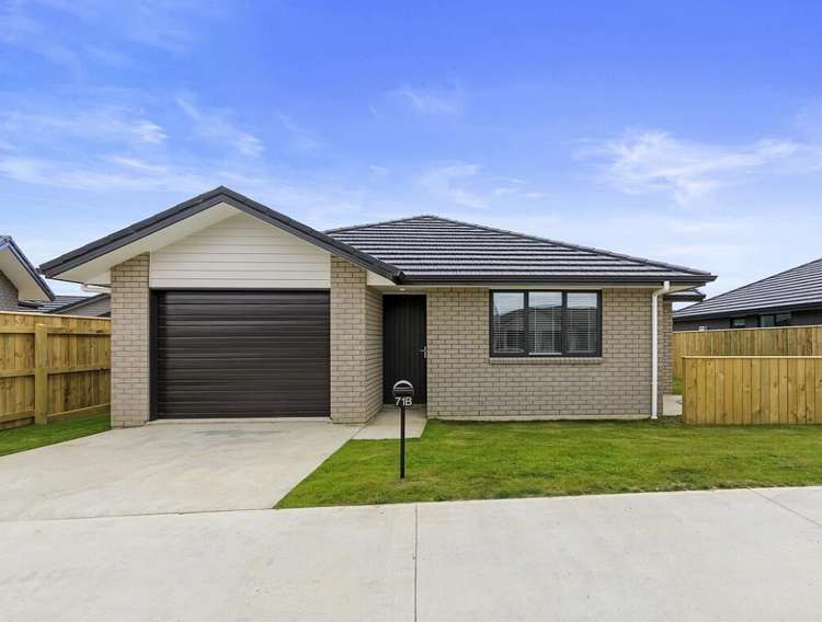 71b Hinemoa Street Levin_1