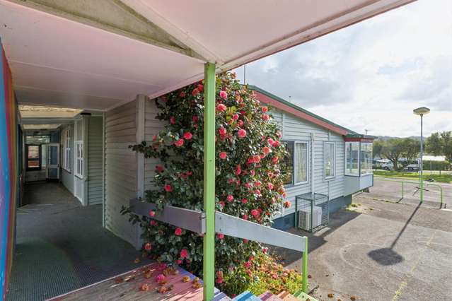 John Avenue Pukemiro_3