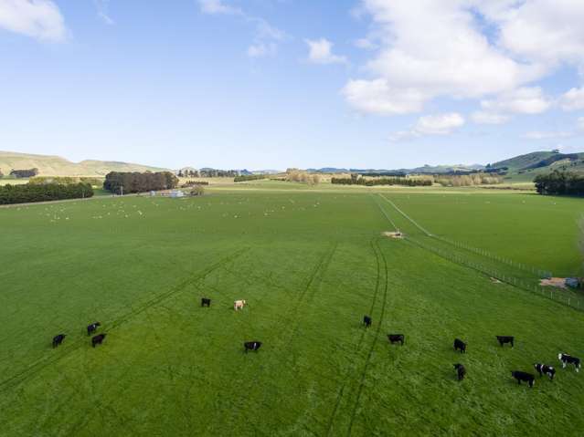 White Rock Road Martinborough_4