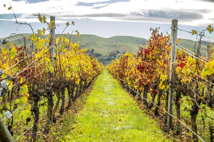 State Highway 50 Roys Hill_5