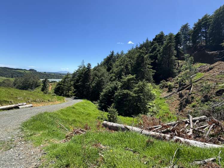 Lot 2 Brown Road Kawhia_20