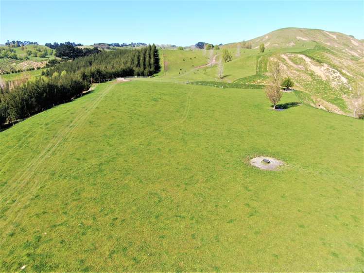 338 Te Awa Road Hawkes Bay_5