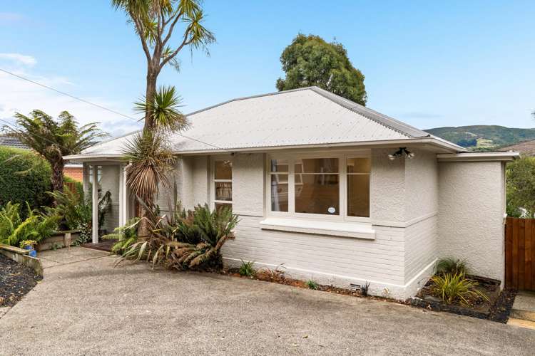 299 Pine Hill Road Pine Hill_24
