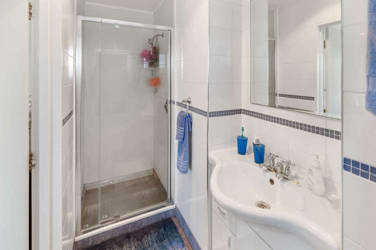 189 Mount View Road Bastia Hill_12