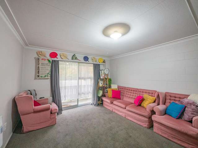 10/19 William Street Dunedin Central_2