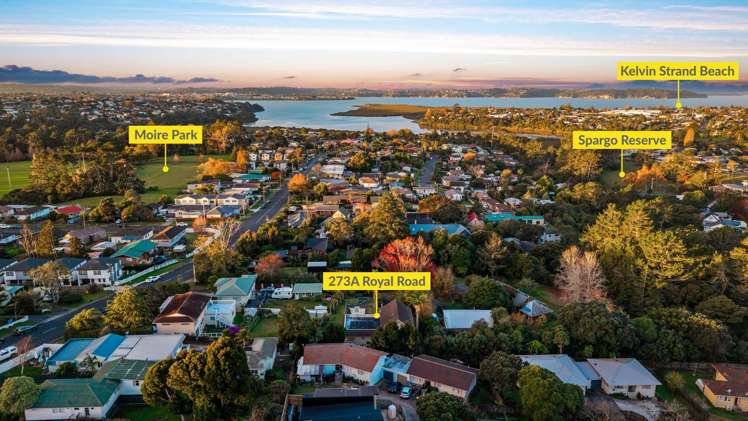 273A Royal Road Massey_21