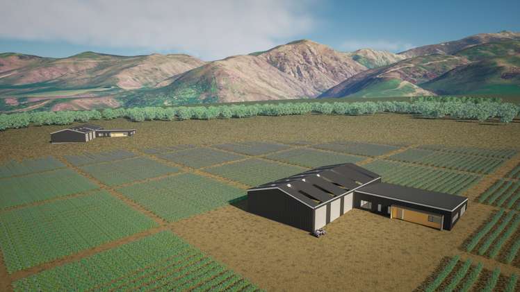 Waikerikeri Valley Road Alexandra_17