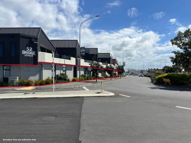 52 Bridge Street Ahuriri_2