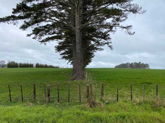 Lot 14 Mangakaretu Road Kerikeri Surrounds_2