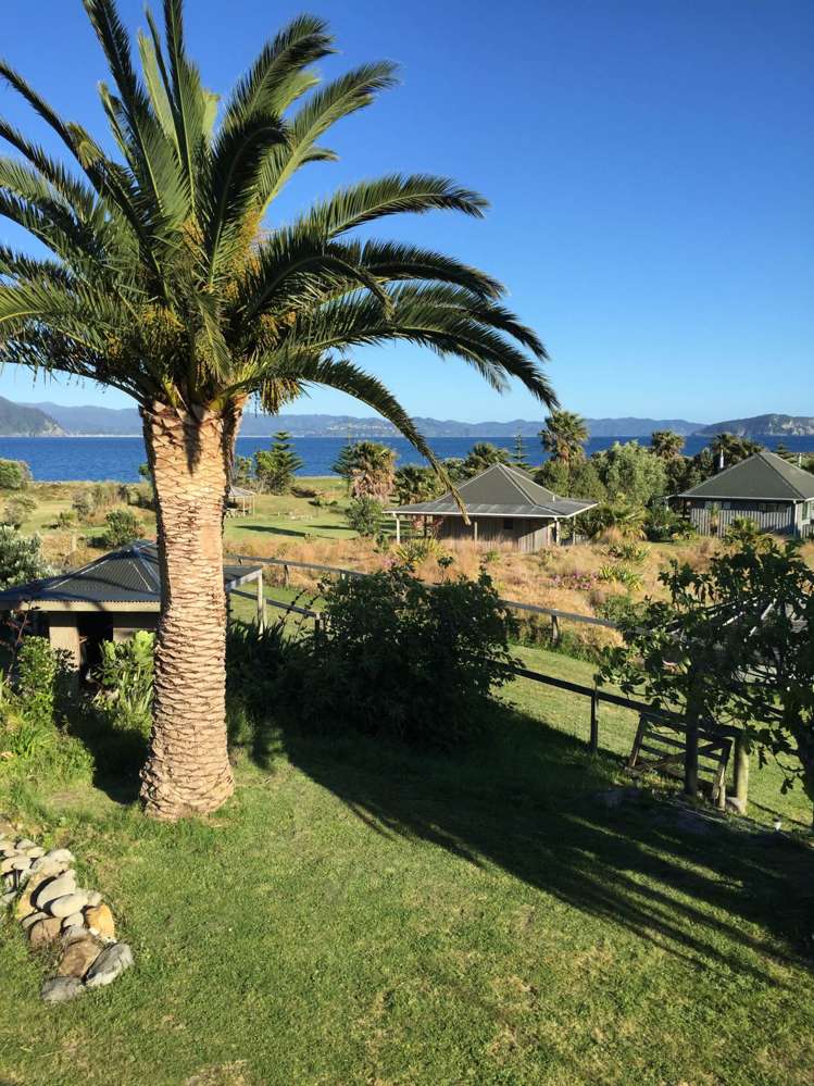 190 Pacific Ocean, Slipper Island (Whakahua) Thames_35