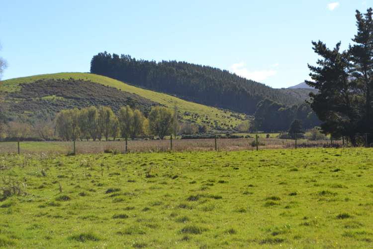 1363 Loburn Whiterock Road Loburn_4