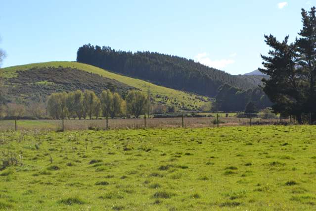 1363 Loburn Whiterock Road Loburn_4