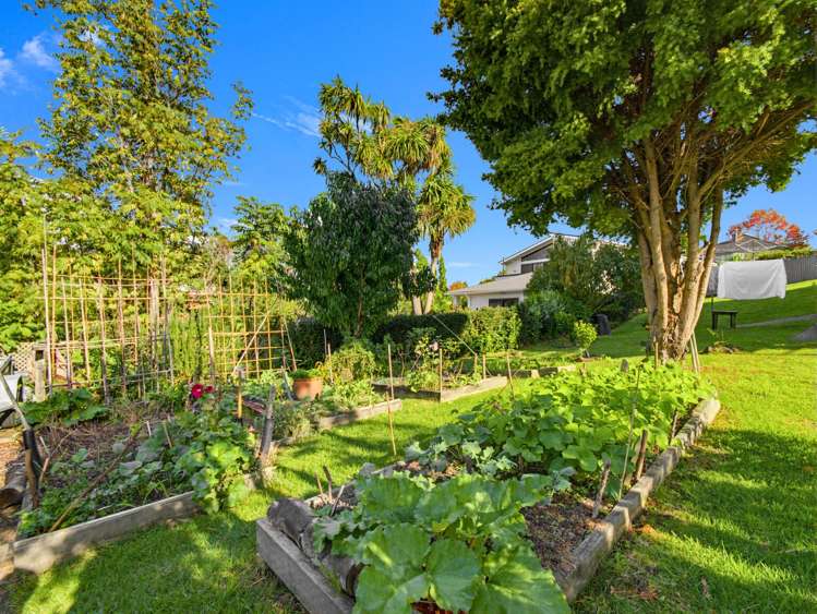 10/16 Willerton Ave New Lynn_4