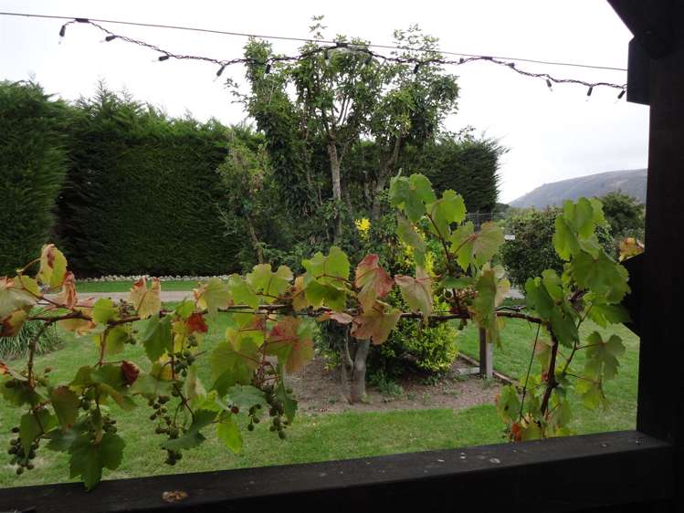 5 Duke Street Albury_12