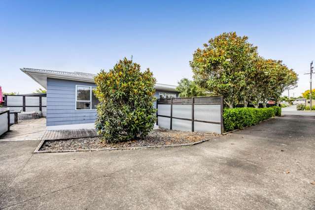 164 Rata Street Inglewood_2