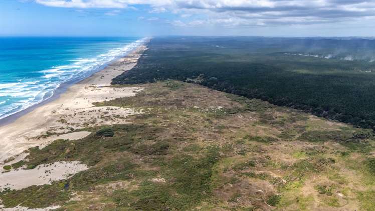 Lots 1-3 Hukatere Road Pukenui_7