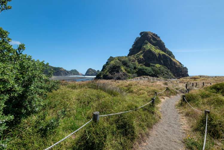 20 Garden Road Piha_17