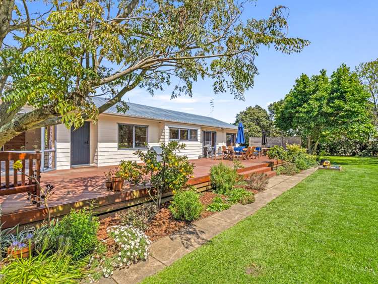 489 Kaikokopu Road Brunswick_7