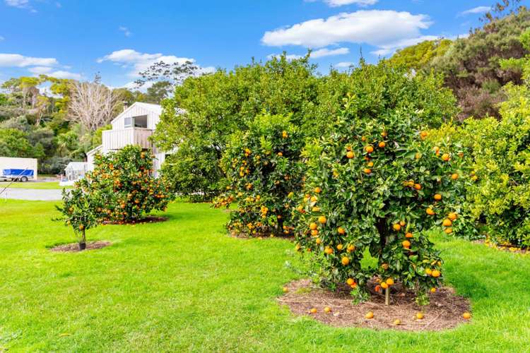 79C Jack Boyd Drive Mangawhai Heads_21