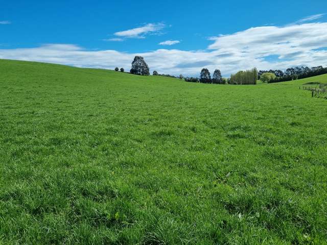 1794 Clydevale Road Clinton and Surrounds_3