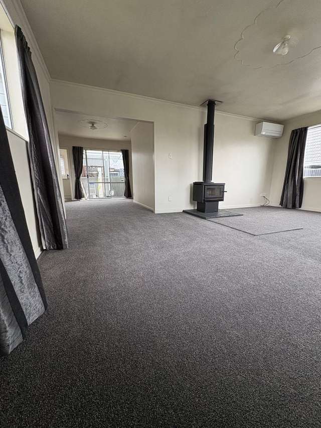 164 McMurdo Street Tinwald_1