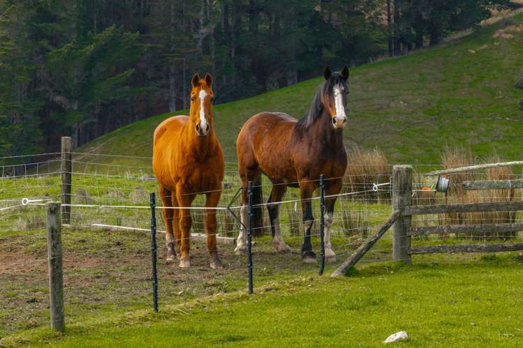 7611 State Highway 1 Ward_26