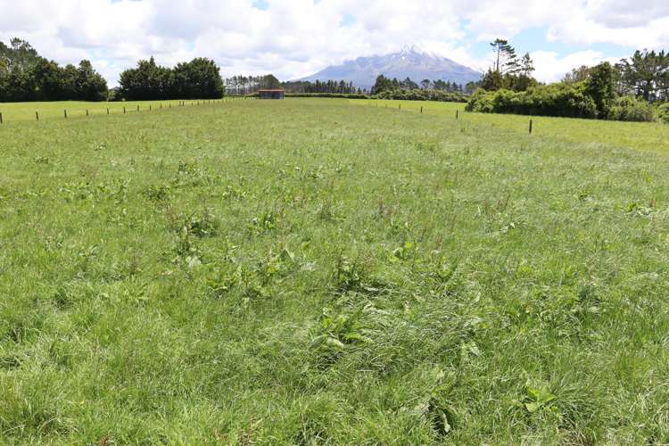 172 Radnor Road Midhirst_12