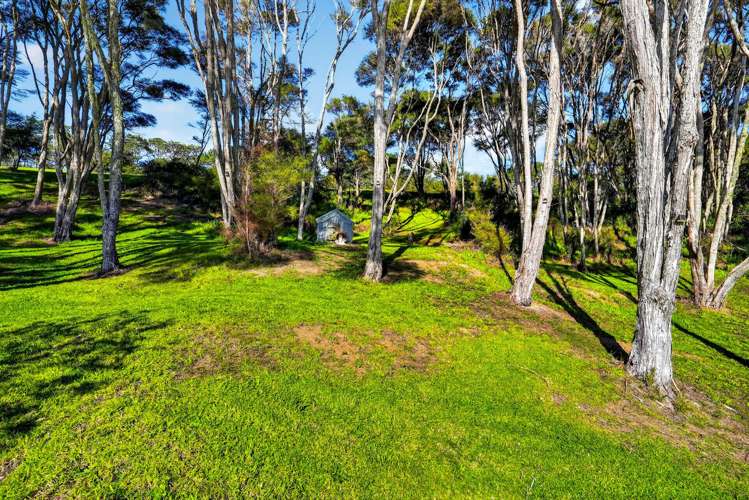 397 Wishart Road Helensville_25