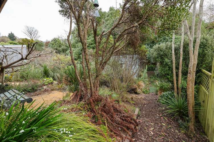 416 South Road Caversham_24