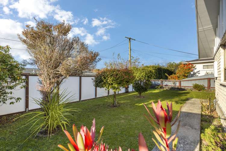 4B Baden Street Levin_12