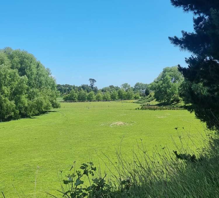 9 Buckley Road Shannon_0