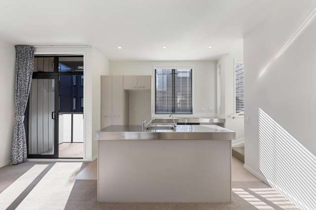 60 Harold Street Mount Eden_1