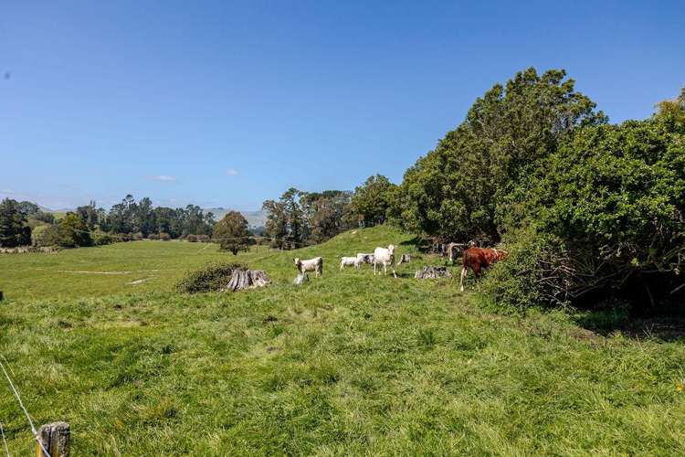 61 Church Road Dannevirke_5