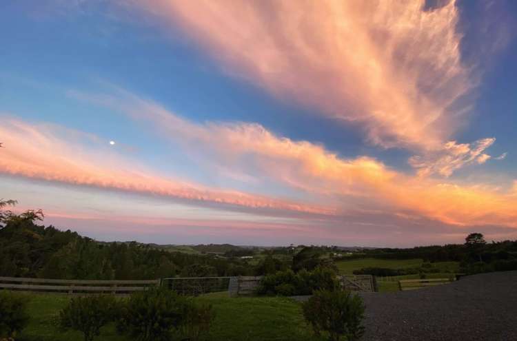 566 Blackbridge Road Waitoki_22