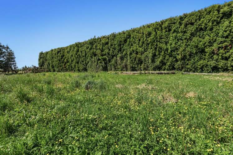 37 Selwyn Road Poroporo_18