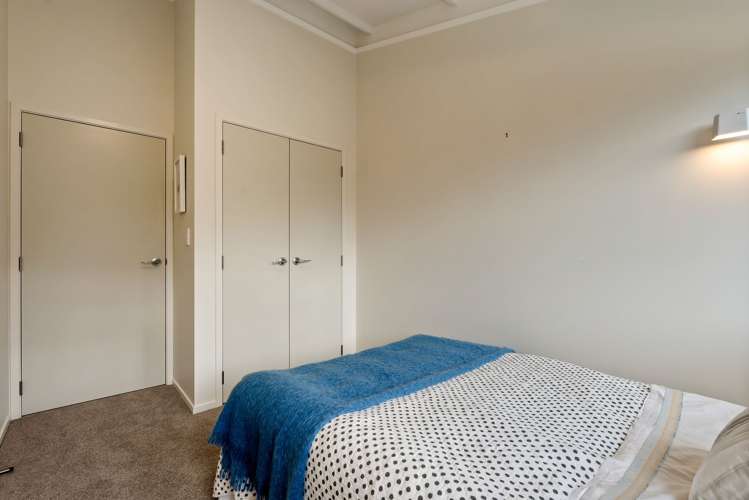 8 Mount Pleasant Road Aro Valley_14