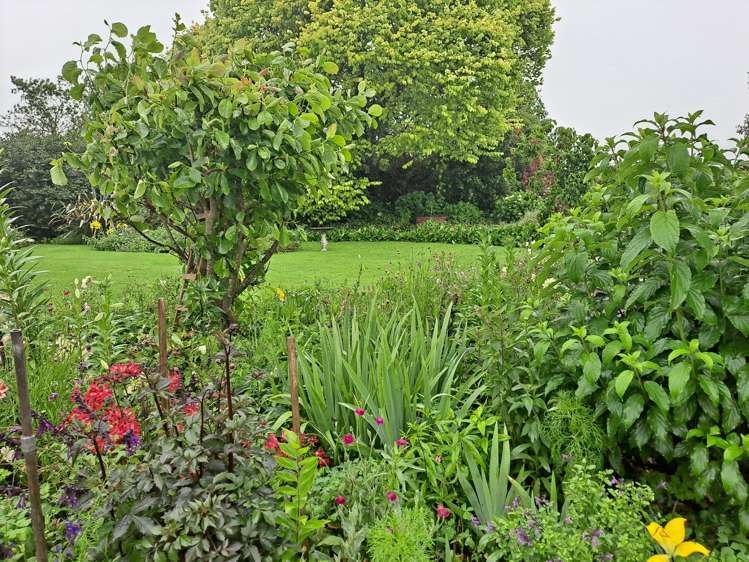 769 No 1 Road Te Puke_27