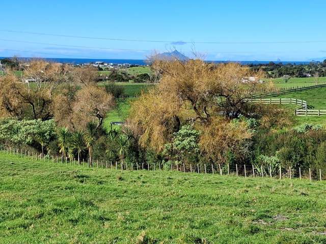 169 Sandford Road Ruakākā_4