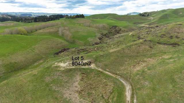 133 Pourerere Road Waipawa_4