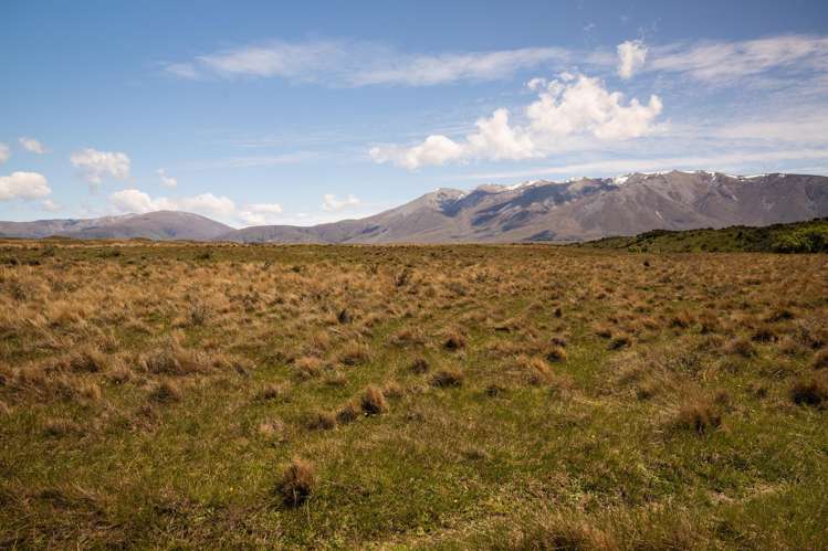 Lagoon Block, Ohau Downs Station Lake Ohau_17