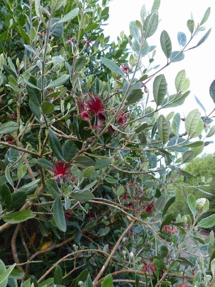 192 High Street Oxford_9