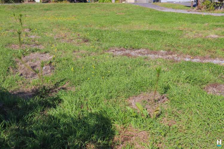 10 Carroll Street Runanga_15