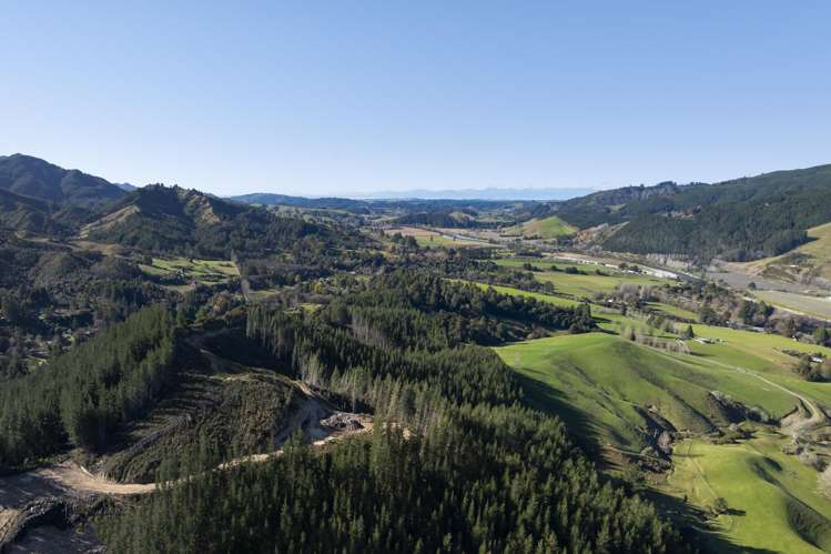 Graham Valley Road Motueka Valley_12