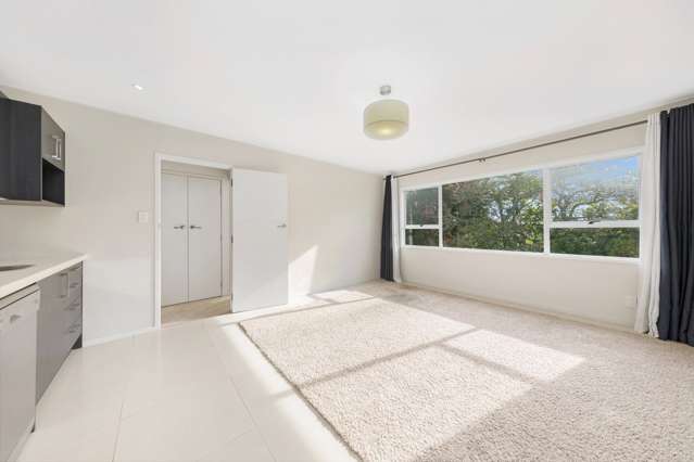 11/46 Amy Street Ellerslie_1