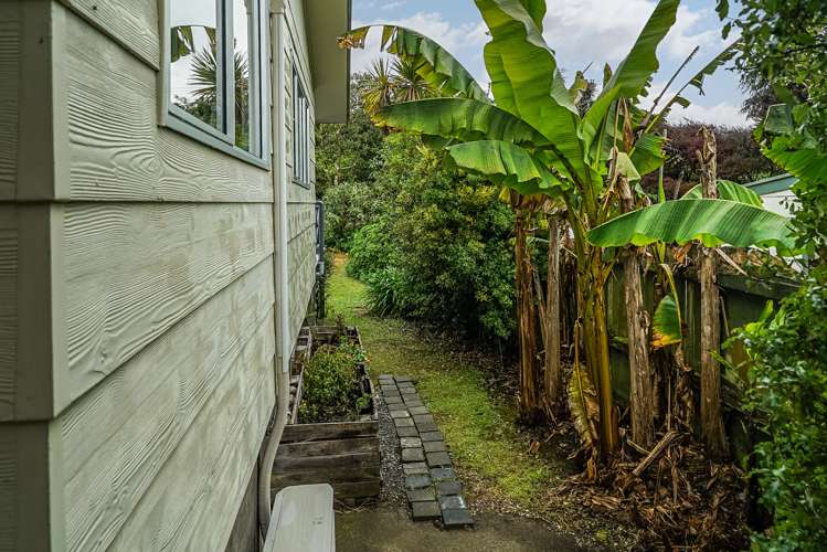 2/53 Douglas Road Wakatu_17